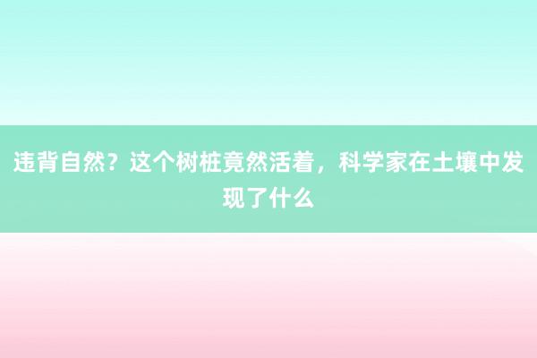 违背自然？这个树桩竟然活着，科学家在土壤中发现了什么