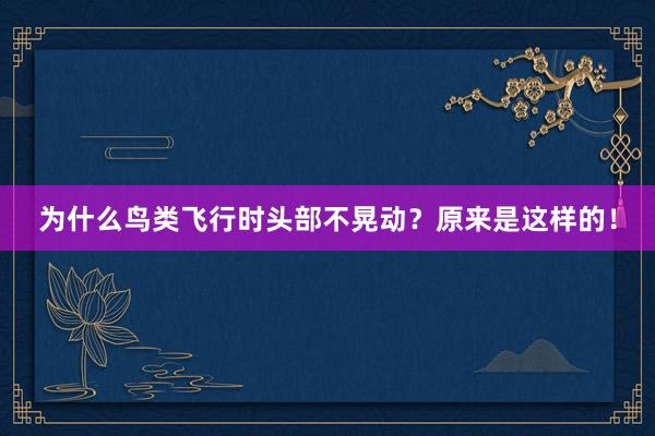 为什么鸟类飞行时头部不晃动？原来是这样的！