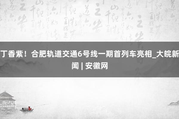 丁香紫！合肥轨道交通6号线一期首列车亮相_大皖新闻 | 安徽网