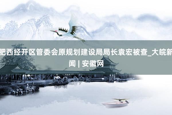 肥西经开区管委会原规划建设局局长袁宏被查_大皖新闻 | 安徽网