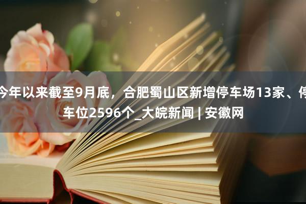 今年以来截至9月底，合肥蜀山区新增停车场13家、停车位2596个_大皖新闻 | 安徽网