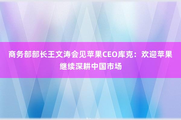 商务部部长王文涛会见苹果CEO库克：欢迎苹果继续深耕中国市场