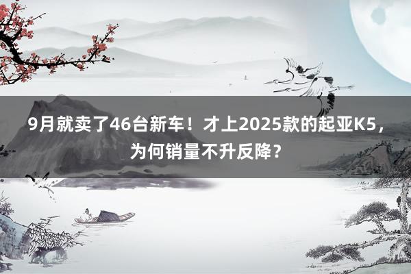 9月就卖了46台新车！才上2025款的起亚K5，为何销量不升反降？