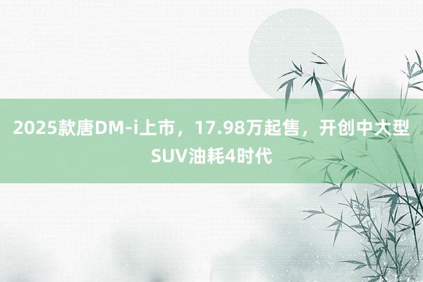 2025款唐DM-i上市，17.98万起售，开创中大型SUV油耗4时代