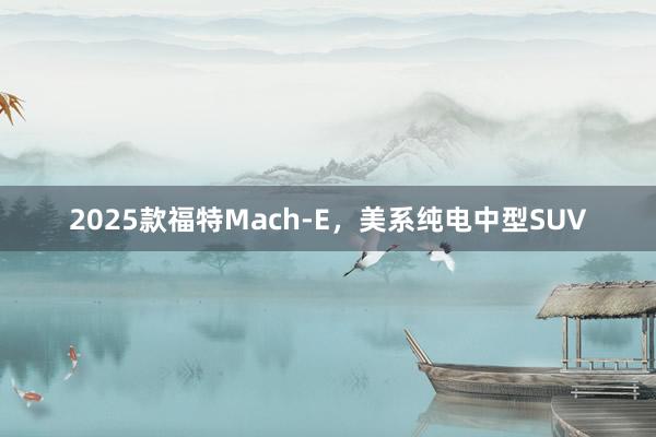 2025款福特Mach-E，美系纯电中型SUV