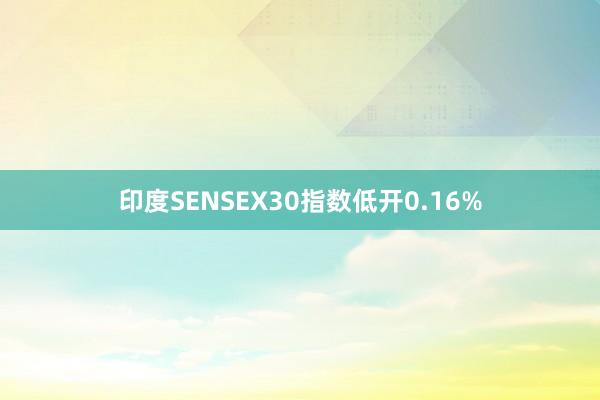 印度SENSEX30指数低开0.16%