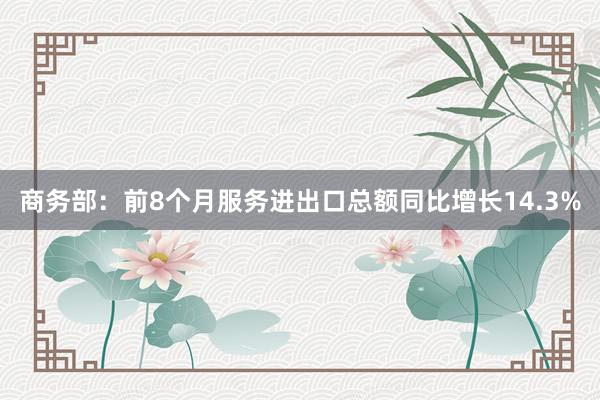 商务部：前8个月服务进出口总额同比增长14.3%