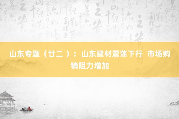 山东专题（廿二 ）：山东建材震荡下行  市场购销阻力增加