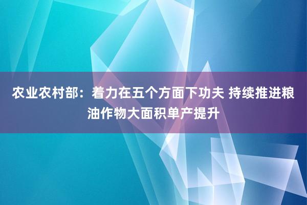 农业农村部：着力在五个方面下功夫 持续推进粮油作物大面积单产提升