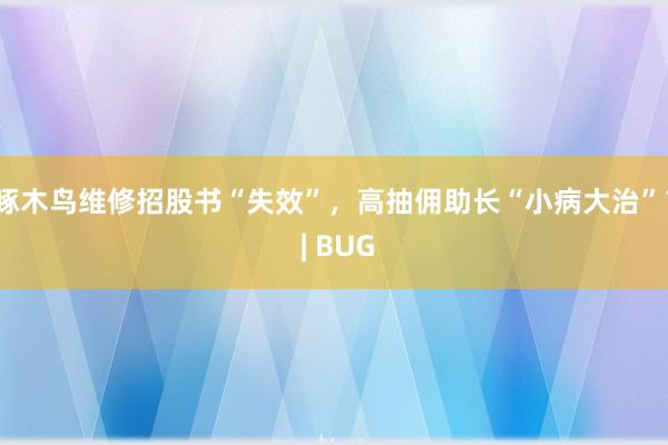 啄木鸟维修招股书“失效”，高抽佣助长“小病大治”？ | BUG