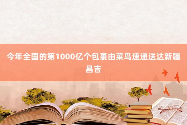 今年全国的第1000亿个包裹由菜鸟速递送达新疆昌吉