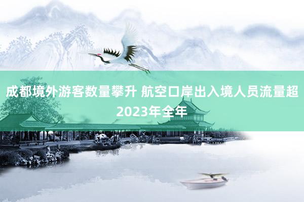 成都境外游客数量攀升 航空口岸出入境人员流量超2023年全年