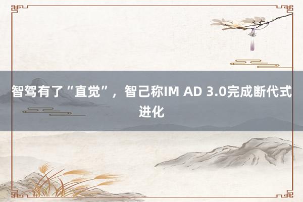 智驾有了“直觉”，智己称IM AD 3.0完成断代式进化