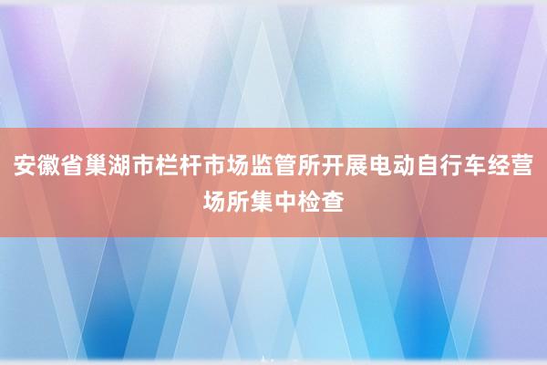 安徽省巢湖市栏杆市场监管所开展电动自行车经营场所集中检查