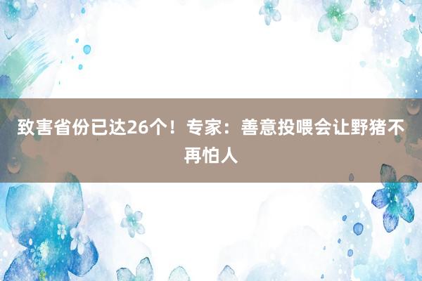 致害省份已达26个！专家：善意投喂会让野猪不再怕人