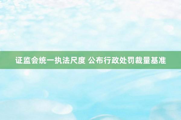 证监会统一执法尺度 公布行政处罚裁量基准