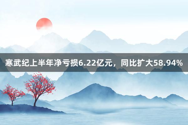 寒武纪上半年净亏损6.22亿元，同比扩大58.94%