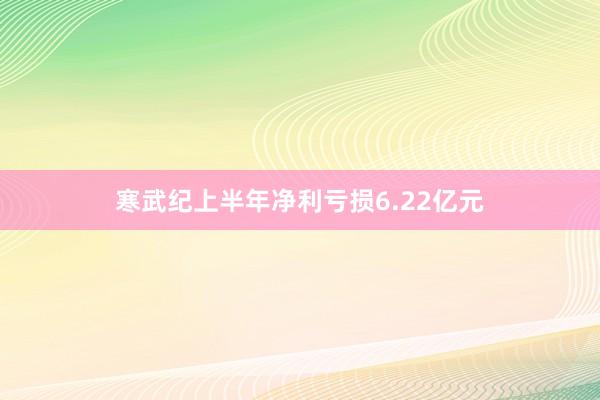 寒武纪上半年净利亏损6.22亿元