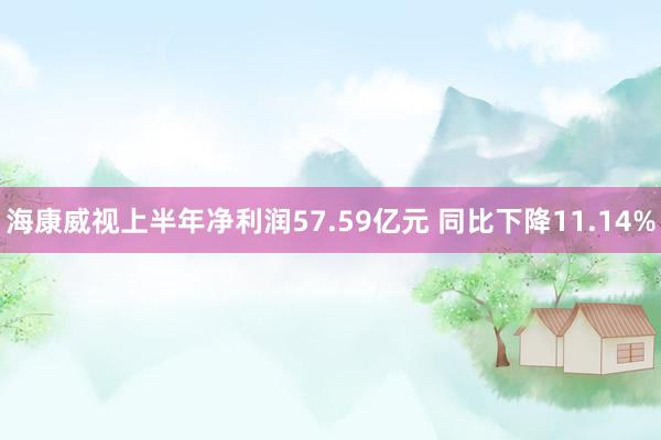 海康威视上半年净利润57.59亿元 同比下降11.14%