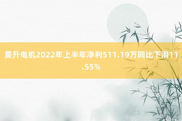 昊升电机2022年上半年净利511.19万同比下滑11.55%