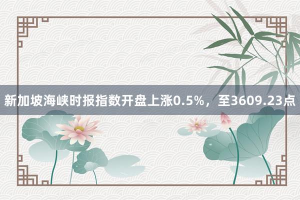 新加坡海峡时报指数开盘上涨0.5%，至3609.23点