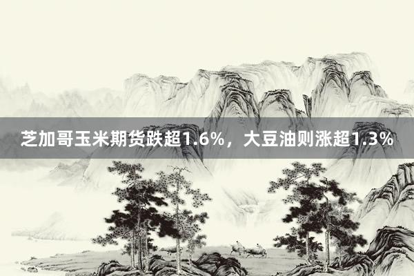 芝加哥玉米期货跌超1.6%，大豆油则涨超1.3%