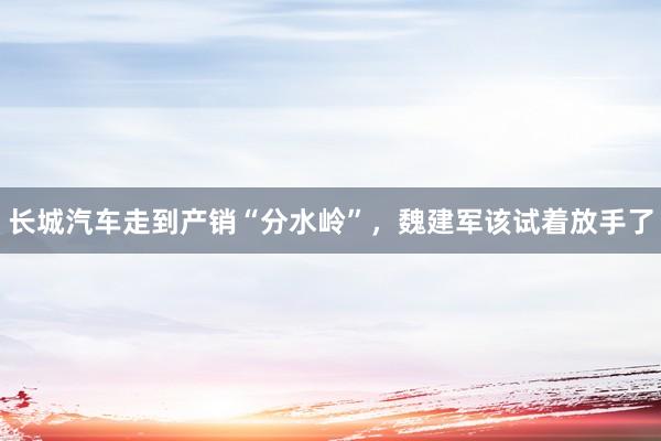 长城汽车走到产销“分水岭”，魏建军该试着放手了