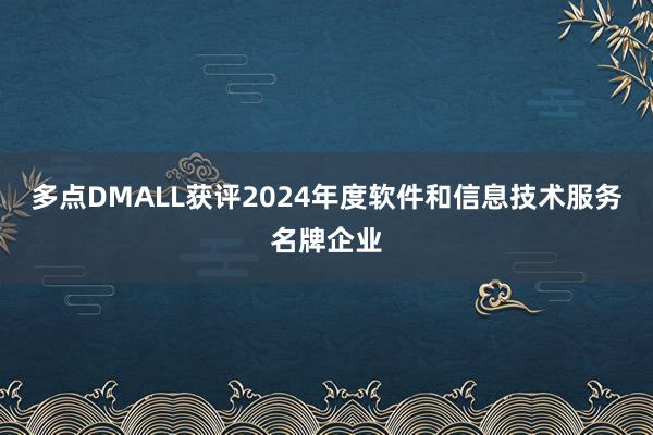 多点DMALL获评2024年度软件和信息技术服务名牌企业