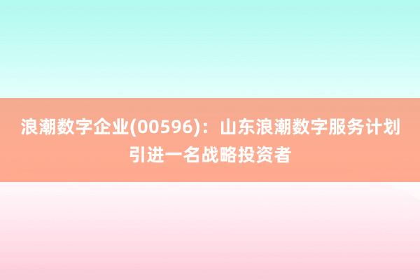 浪潮数字企业(00596)：山东浪潮数字服务计划引进一名战略投资者