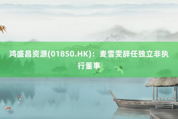 鸿盛昌资源(01850.HK)：麦雪雯辞任独立非执行董事