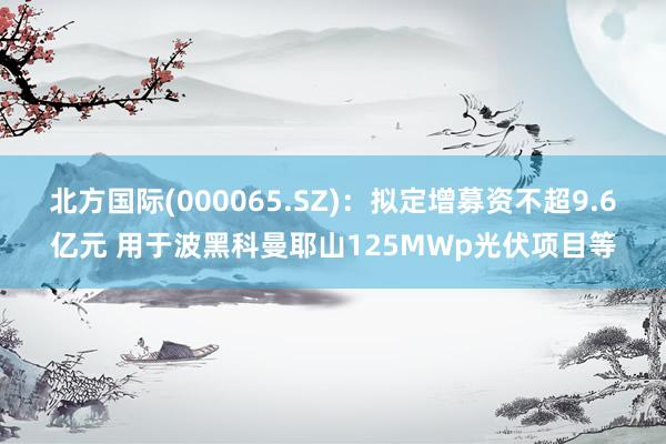 北方国际(000065.SZ)：拟定增募资不超9.6亿元 用于波黑科曼耶山125MWp光伏项目等