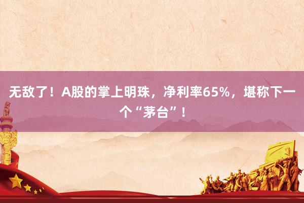 无敌了！A股的掌上明珠，净利率65%，堪称下一个“茅台”！