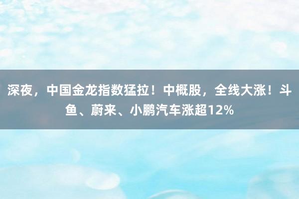 深夜，中国金龙指数猛拉！中概股，全线大涨！斗鱼、蔚来、小鹏汽车涨超12%