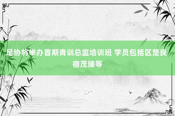 足协将举办首期青训总监培训班 学员包括区楚良 宿茂臻等