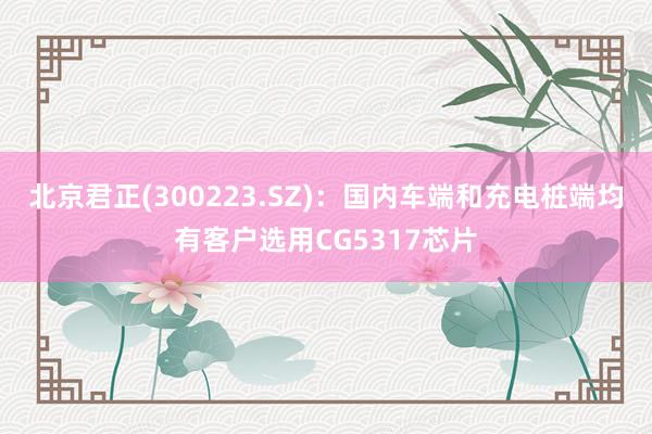 北京君正(300223.SZ)：国内车端和充电桩端均有客户选用CG5317芯片