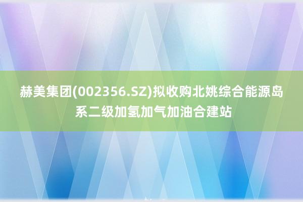 赫美集团(002356.SZ)拟收购北姚综合能源岛 系二级加氢加气加油合建站