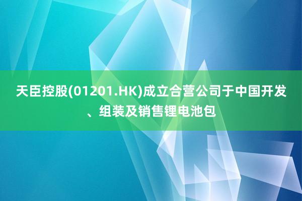 天臣控股(01201.HK)成立合营公司于中国开发、组装及销售锂电池包