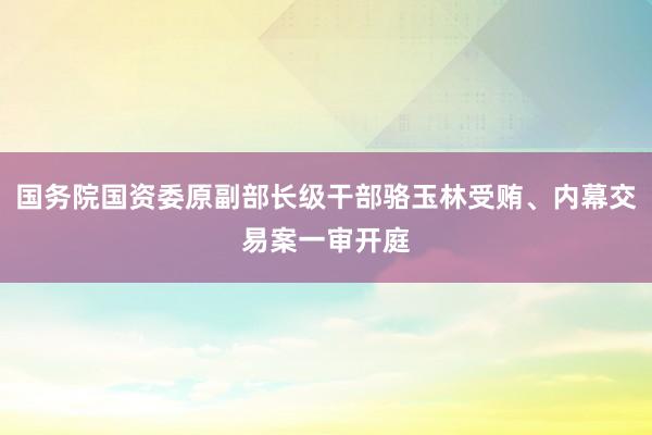 国务院国资委原副部长级干部骆玉林受贿、内幕交易案一审开庭