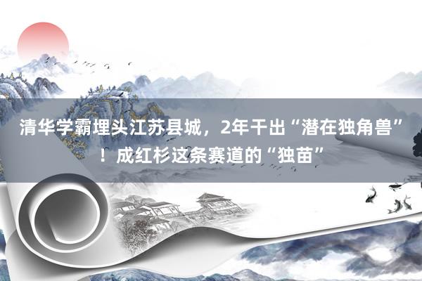 清华学霸埋头江苏县城，2年干出“潜在独角兽”！成红杉这条赛道的“独苗”