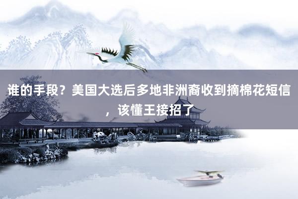 谁的手段？美国大选后多地非洲裔收到摘棉花短信，该懂王接招了