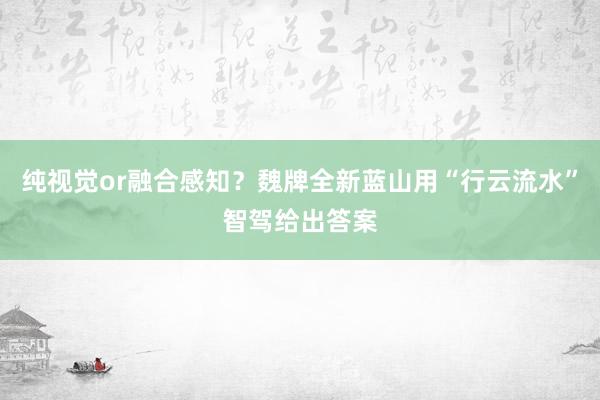 纯视觉or融合感知？魏牌全新蓝山用“行云流水”智驾给出答案