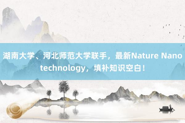 湖南大学、河北师范大学联手，最新Nature Nanotechnology，填补知识空白！