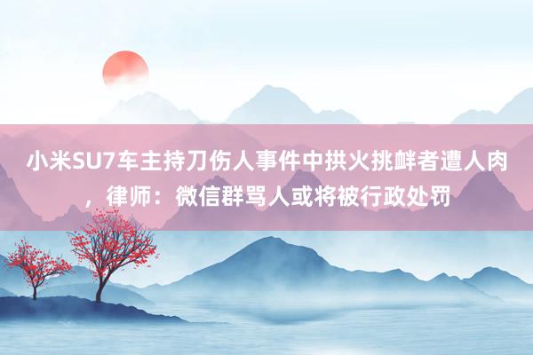 小米SU7车主持刀伤人事件中拱火挑衅者遭人肉，律师：微信群骂人或将被行政处罚