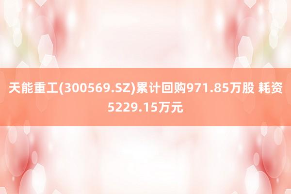 天能重工(300569.SZ)累计回购971.85万股 耗资5229.15万元