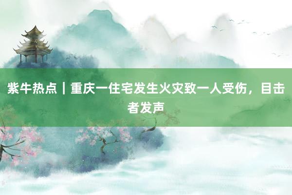 紫牛热点｜重庆一住宅发生火灾致一人受伤，目击者发声