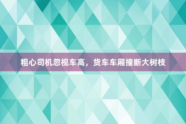 粗心司机忽视车高，货车车厢撞断大树枝