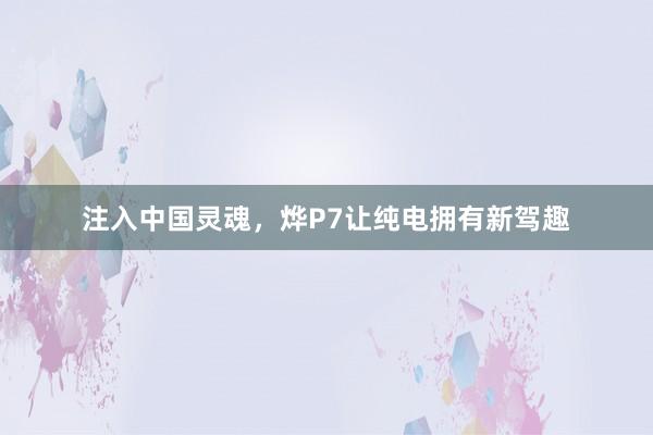 注入中国灵魂，烨P7让纯电拥有新驾趣