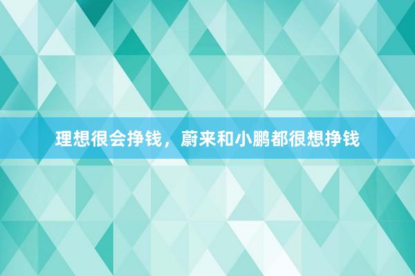 理想很会挣钱，蔚来和小鹏都很想挣钱