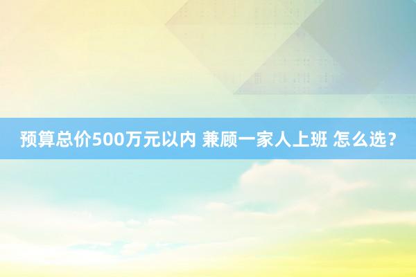 预算总价500万元以内 兼顾一家人上班 怎么选？