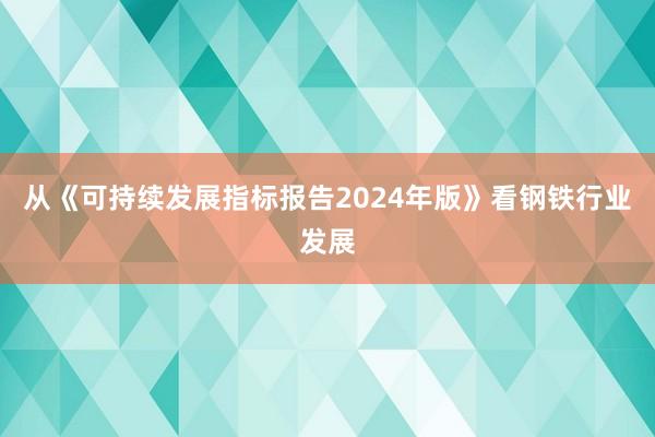 从《可持续发展指标报告2024年版》看钢铁行业发展